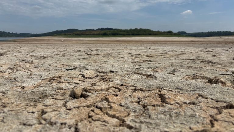 Reservoir levels fall near 50% amid dry spell