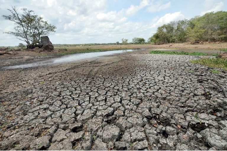 Emerging El Niño effect on Sri Lanka: Be ready for catastrophe