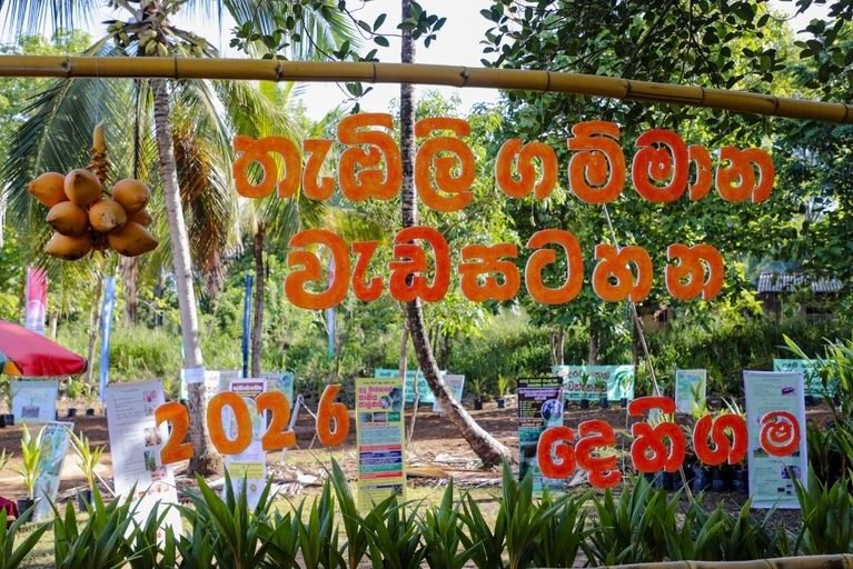 Sri Lanka Launches Second King Coconut Village in Badulla Under National Export Drive